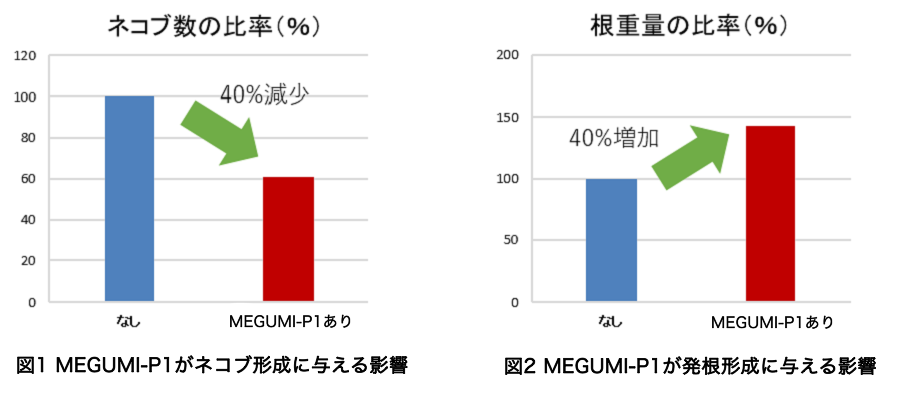 megumi-p1 肥料 5